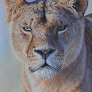 Sam Dolman Freya Lion Fine Art, Front image