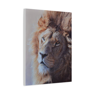 Sam Dolman Jaris Lion Wall Art, canvas profile