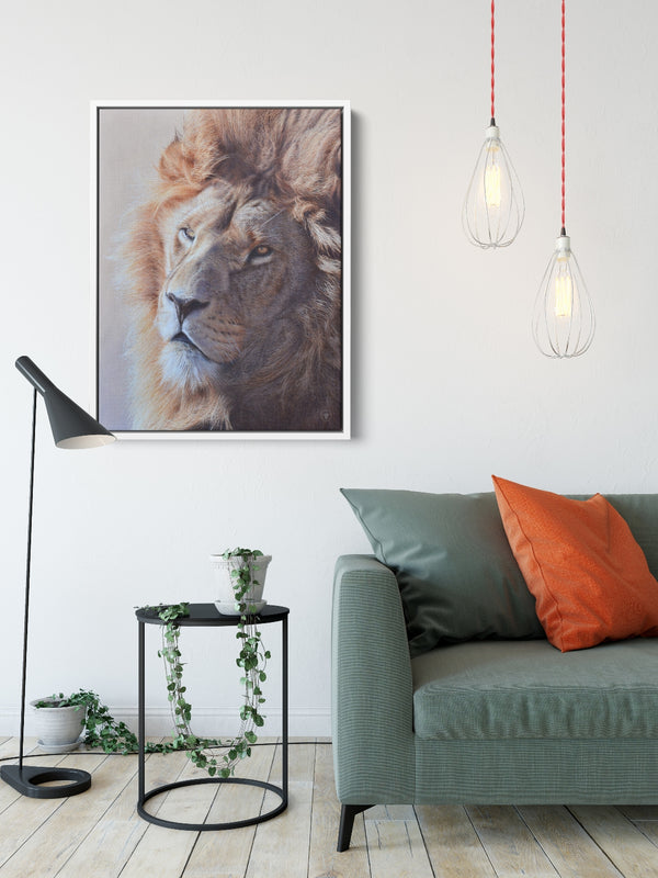 Sam Dolman Jari Lion Wall Art,  White frame in scene