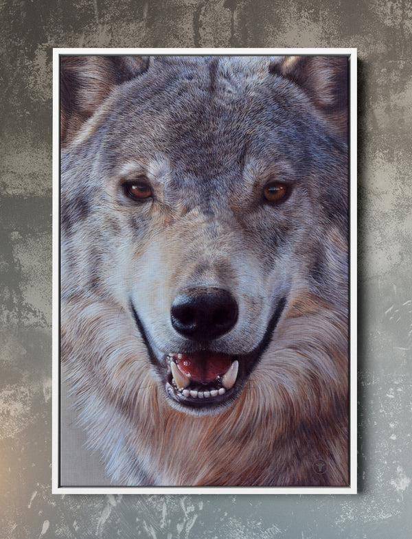 Sam Dolman Lupe Wolf Wall Art,  White frame 