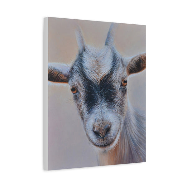 Sam Dolman Pickles Goat Canvas Art, Canvas side profile