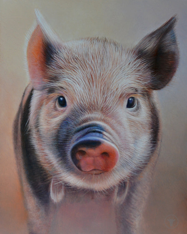 Sam Dolman Poppy Pig Canvas Art, Front view
