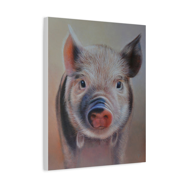 Sam Dolman Poppy Pig Canvas Art, Canvas side profile