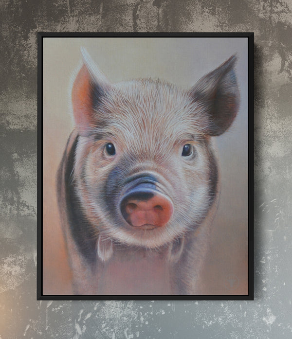 Sam Dolman Poppy Pig Canvas Art, Black frame 