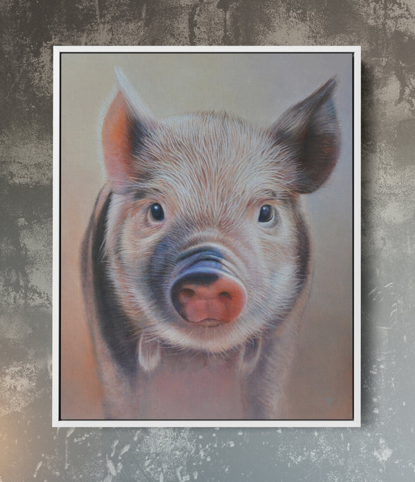 Sam Dolman Poppy Pig Canvas Art, White frame 