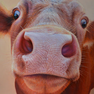 Sam Dolman Rita Cow Fine Art, Front image