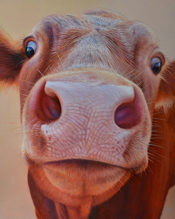 Sam Dolman Rita Cow Fine Art, Front image