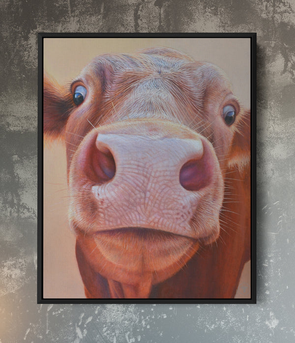 Sam Dolman Rita Cow Canvas Art, Black frame