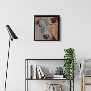 Sam Dolman Sally Cow Wall Art, Black frame in scene