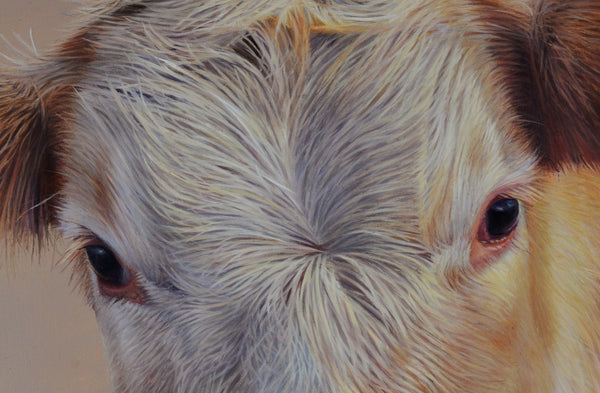 Sam Dolman Sally Cow Fine Art, Close-up