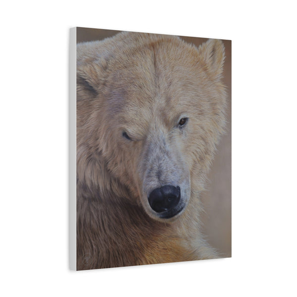 Sam Dolman Tala Polar Bear Canvas Art, Canvas in profile