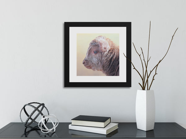 Sam Dolman Tilly Cow Fine Art, Black frame in scene