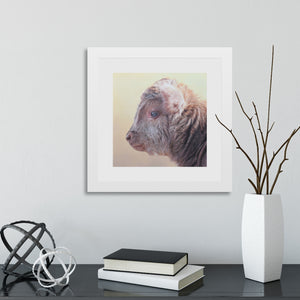 Sam Dolman Tilly Cow Fine Art, White frame in scene