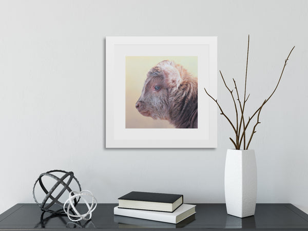 Sam Dolman Tilly Cow Fine Art, White frame in scene