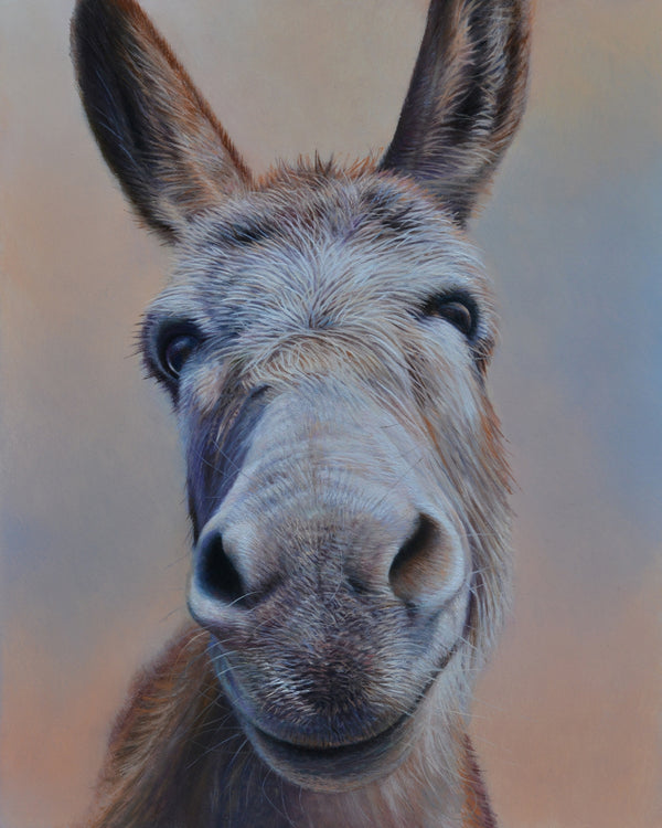 Sam Dolman William Donkey Canvas Art, Front view