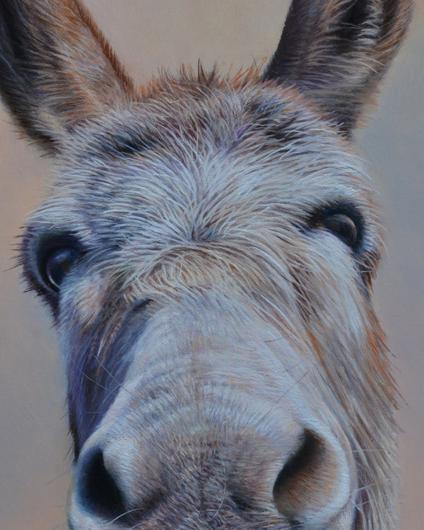 Sam Dolman William Donkey Fine Art, Front image crop